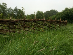 Woven willow fence
