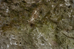 Ancient limestone